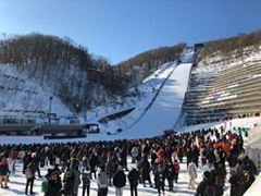 ���һ������׶�����